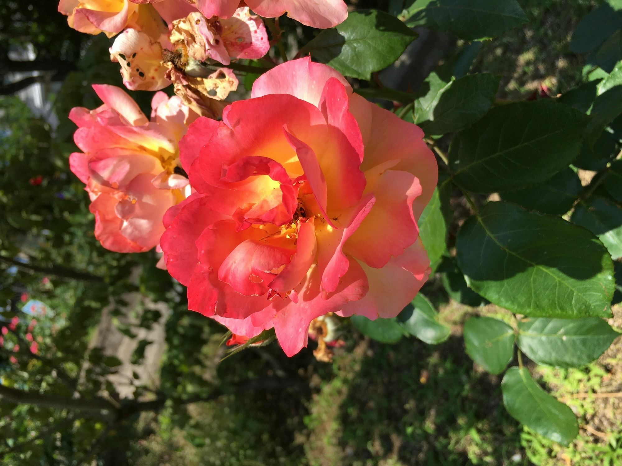Fukuyama Rose Garden Hotel Экстерьер фото